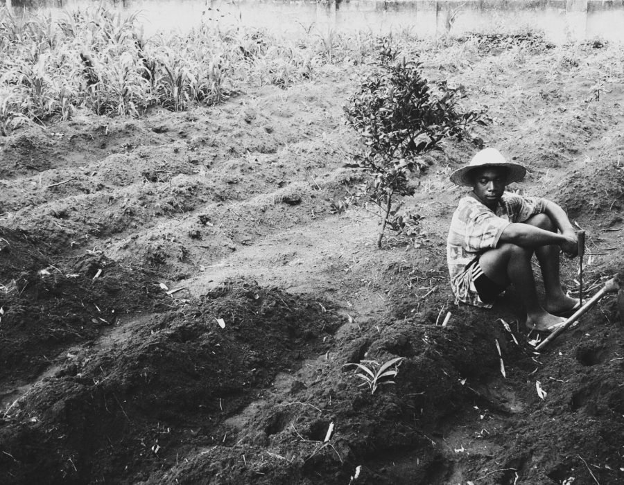 pexels-john-champion-1444373-2918756